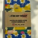 스프링데이 이미지