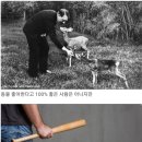 인성