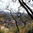 오동1길 이미지