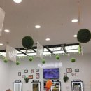 별동자리 이미지