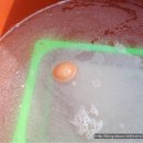 견우와직녀 이미지