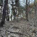 [트레일런 훈련] 여주 강천 마감산 15km 환종주