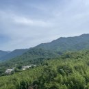 스튜디오하동 | 켄싱턴리조트 지리산 하동 석식 후기 구례 하동 숙소로 추천