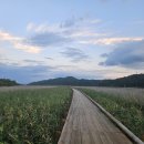 방죽 | [전남/벌교] 천혜의 갯벌이 숨 쉬는 벌교 가볼 만한 곳 추천 &#34;중도방죽&#34; 방문 후기