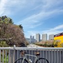 대도정비 | 메리다 스컬트라 400 초기 점검, 거제 엑스인라인 방문 후기