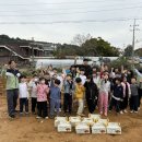 선랑태권도 이미지