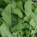 연한농장 이미지