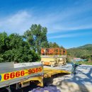 성주경북약국 이미지