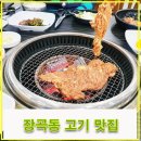 장곡동 고기 맛집 추천! 청돈고기나라 시흥점 다녀왔어요