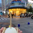 호랑이젤라떡