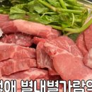 육월애 이미지