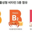 세화온누리약국 이미지