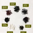 주식회사 모둠