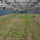 가온하우스 이미지