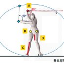 백스윙 이미지