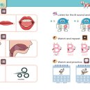파머스풍동어학원