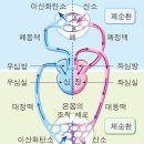 혈관을 청소하면 혈압이 내려간다. 이미지