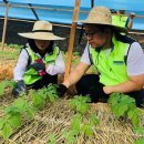 모곡마을 이미지