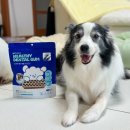 (주)아크 제2공장 | 강아지치석제거껌추천 간식보다 좋아하는 라이프펫 헬씨 덴탈껌