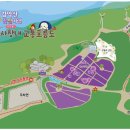 남상면사무소 | 거창 감악산 별바람언덕 아스타 국화 축제 2025｜보랏빛 물결·주차·관람 동선 총정리