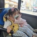 미술아놀자심리상담센터 이미지