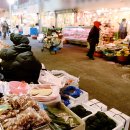 매일민박야영장 이미지