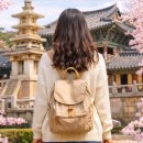 (주)지금 | [공지] 🌸 이번 주 지나면 끝… 경주 불국사 벚꽃 지금 가도 될까? (겹벚꽃 현실 후기)