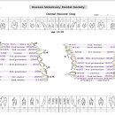 강남예치과동물병원 이미지