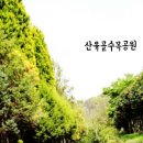 산유골 수목정원 이미지