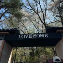 권안경 | [러브썸페스티벌] 안경낀아저씨가 ‘라이즈’ 보러 러브썸 페스티벌 다녀옴