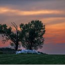 고목목장 이미지