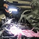 성락모터스 이미지