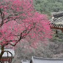 지리산막내딸