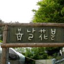 지나는길에 이미지