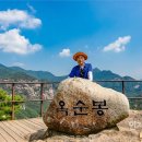 [박홍재 시인의 렌즈로 보는 풍경 그리고 길](12) 청풍호 위의 구담봉·옥순봉, 매력에 빠지다 이미지