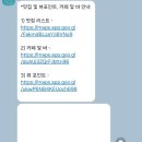 러러 | 대만 가오슝 소류구 자유여행-포포다이브 프리다이빙 교육 & 스쿠버 펀다이빙 찐후기 (ft. 러러)