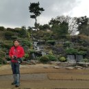 동백산삼