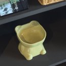 구영앞길 | 울산 구영리 카페 카페마리스텔라 단체모임 애견동반 신상 카페 추천