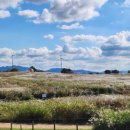 생활체육공원로 이미지