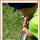 수림유치원 이미지