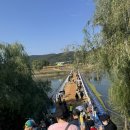 한평 | 대구 하중도 정원박람회 후기🌸 조카랑 즐긴 가족 나들이 추천