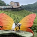 초록잎이 펼치는 세상 이미지