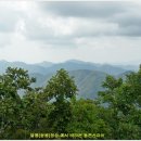 삼박골 Daum카페