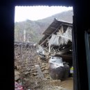 향-고향의 봄 이미지