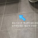 라인줄눈 이미지
