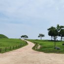 고분전시관 이미지