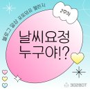 날씨요정과 함께한 비 한방울 못본 일주일, 완전 럭키영이잖아~