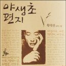 야생초