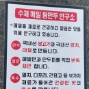 메밀왕만두연구소 이미지