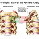나비솔한의원 이미지